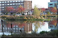 Autumn colours, Bingham