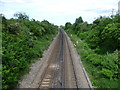 The line to Whitstable