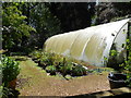 SY5684 : Greenhouse at Abbotsbury Gardens by Paul Gillett