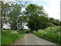 Un-named road and un-named woodland on the right