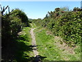 Pembrokeshire Coast Path