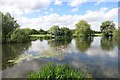 TQ4871 : Lake on the River Cray by Des Blenkinsopp