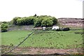 NX5154 : Kirkmuir Farm from Craigmule by Anthony O'Neil