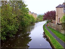 SD8433 : Leeds & Liverpool Canal, Burnley by Len Williams