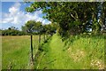 Footpath near Letterston