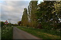 Common Road near South Common Farm, Cave Common