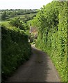 Lane past Manor Farm