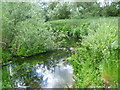 The River Roding alongside the Three Forests Way