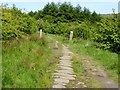 Footpath at Walker Fold