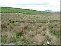 SH5642 : Rough grassland with a deep drain, south of Llyn Du by Christine Johnstone