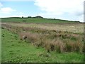 SH5642 : Farmland south of Llyn Du by Christine Johnstone
