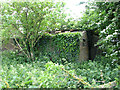 Dilapidated shed on the edge of allotment gardens