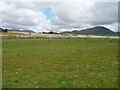 SH5442 : Drained farmland in Cwm Afon Ddu by Christine Johnstone
