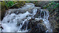 Stream at the Barton Hills National Nature Reserve