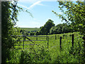 Rough fields near South Alkham