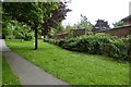 Small and peaceful park , Louth, Lincolnshire