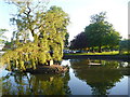 Godstone:  Town Pond