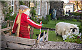 Orton village - scarecrow competition (5)