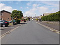 Celandine Avenue - looking towards Raw Nook Road