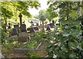 Salendine Nook Baptist Church Graveyard - viewed from Moor Hill Road