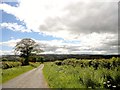 View down Boundary Lane