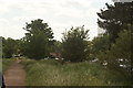 View of houses on Forest View from the path leading into the forest #3