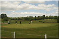 View of golfers in Chingford Golf Course #13