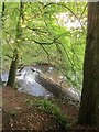 Weir on the Frome