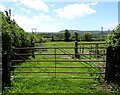 Two gates at a field entrance near Yetminster electricity substation