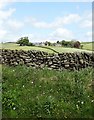 Wall at Fawside with view to Tunstead