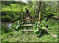 Foot bridge over The River Manifold