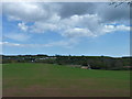 Fields near Otterton