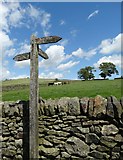 SK0963 : Lower Boothlow - junction of paths by Neil Theasby