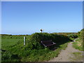 Path Crossroads, St Davids