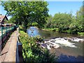 Llwybr glanafon. / Riverside path