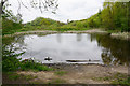 Pond by Timperley Flood Storage Basin