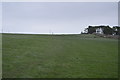 Field near Worth Matravers