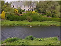 NJ8715 : Mute Swan on the Dee by Stanley Howe