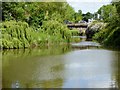 River Weaver at Nantwich