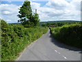 Looking down Hogtrough Hill