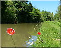 Flowers next to the Oxford Canal