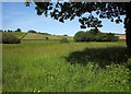 SX8669 : Farmland by Kingskerswell Road by Derek Harper