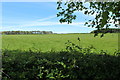 Farmland near Barrhill Mount