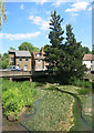 River Cray at Bexley