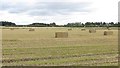 Square bales, Inchture