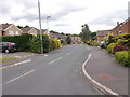 Cleveland Grove - viewed from Cleveland Avenue