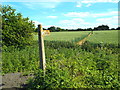 Public footpath near Navestock Heath, Essex