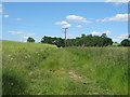 Footpath through field near Little Lodge Farm, Castle Hedingham