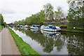 Moorings on the Bridgewater Canal