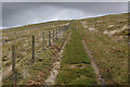 SD6879 : Track on the Flanks of Gragareth by Chris Heaton